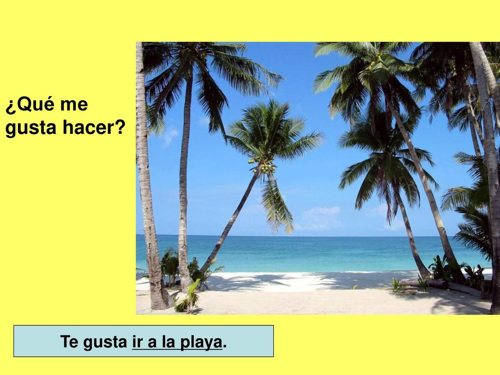 ¿Qué me gusta hacer Te gusta ir a la playa.
