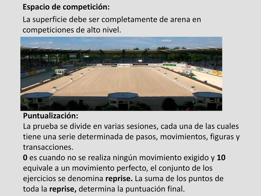 Espacio de competición: La superficie debe ser completamente de arena en competiciones de alto nivel.