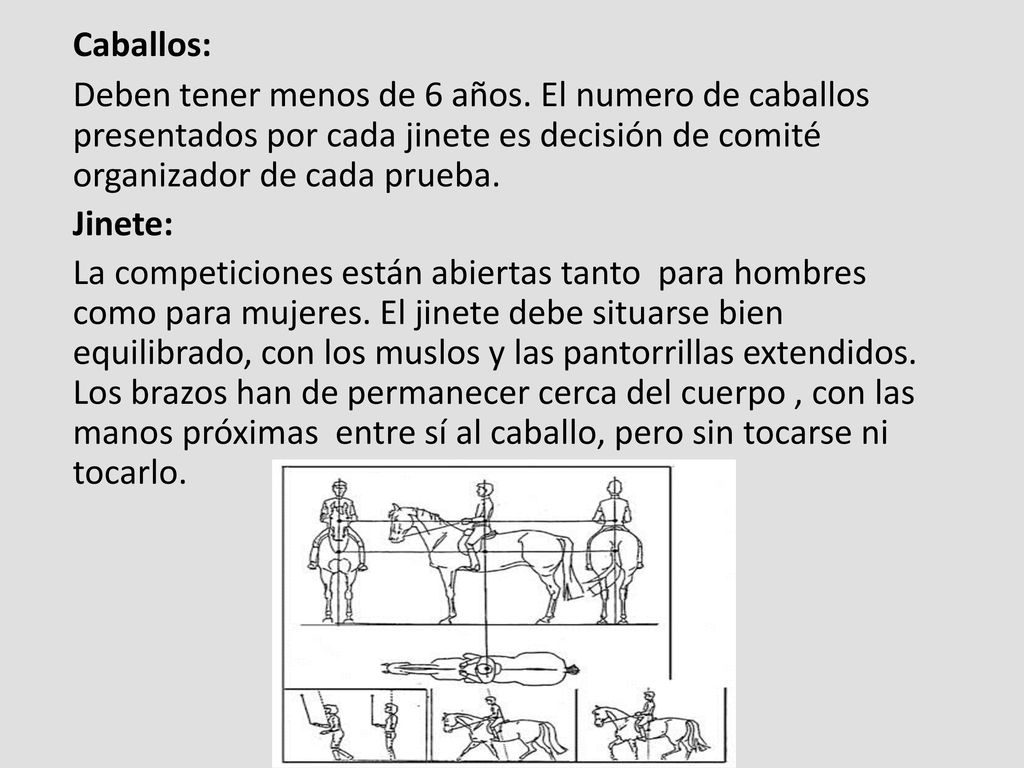 Caballos: Deben tener menos de 6 años. El numero de caballos presentados por cada jinete es decisión de comité organizador de cada prueba.
