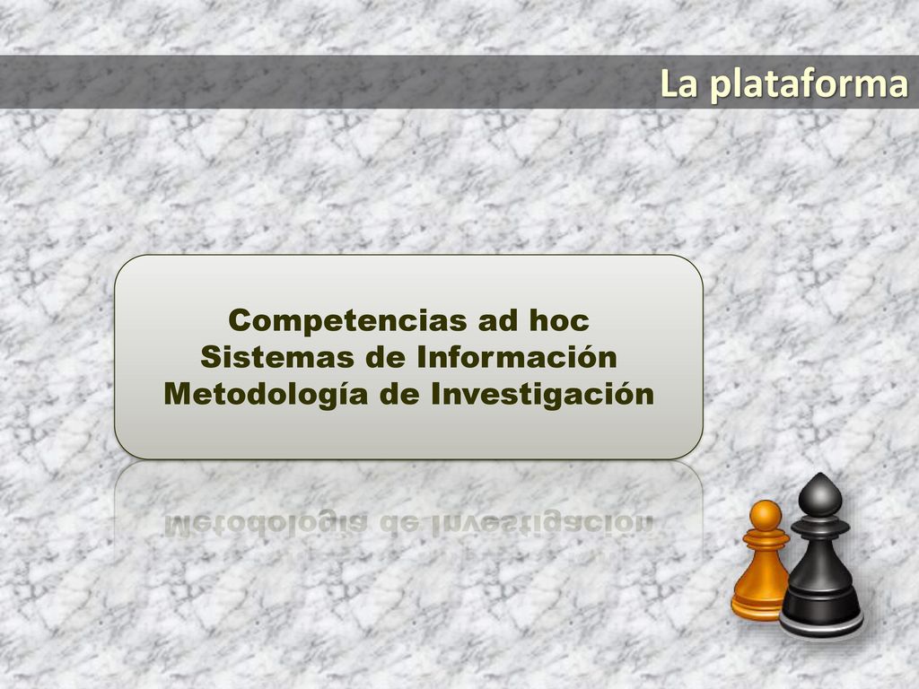 La plataforma Competencias ad hoc Sistemas de Información
