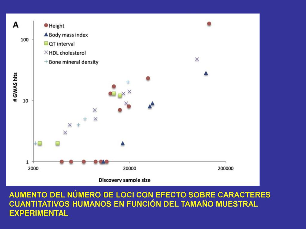 AUMENTO DEL NÚMERO DE LOCI CON EFECTO SOBRE CARACTERES CUANTITATIVOS HUMANOS EN FUNCIÓN DEL TAMAÑO MUESTRAL EXPERIMENTAL