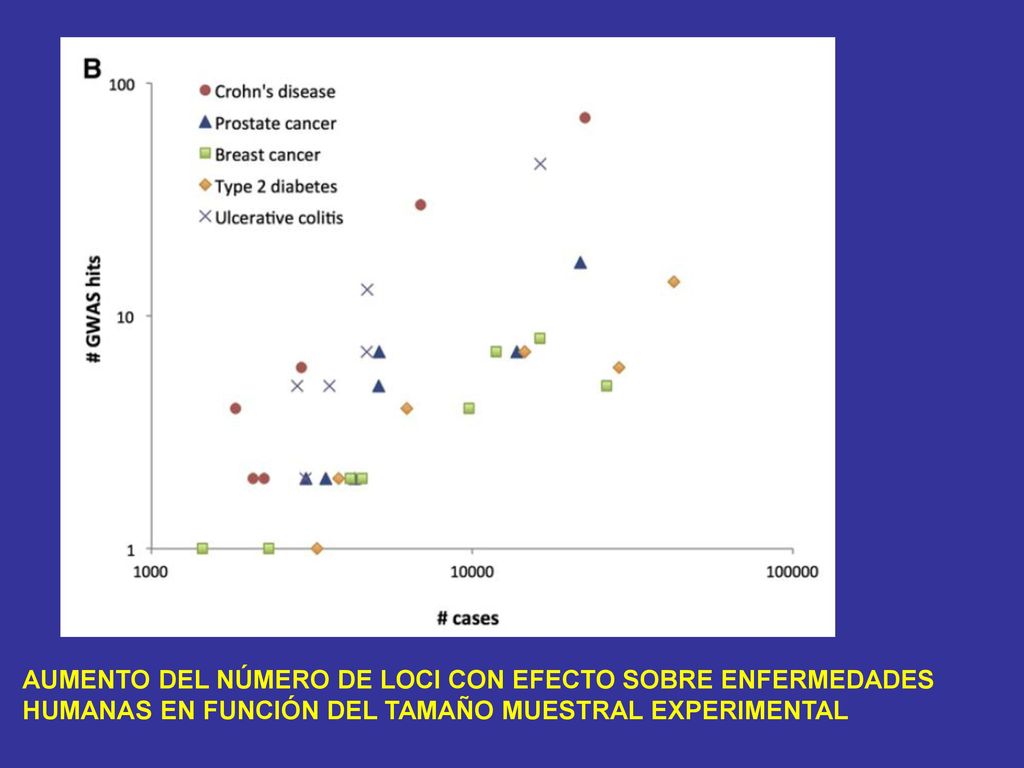 AUMENTO DEL NÚMERO DE LOCI CON EFECTO SOBRE ENFERMEDADES HUMANAS EN FUNCIÓN DEL TAMAÑO MUESTRAL EXPERIMENTAL