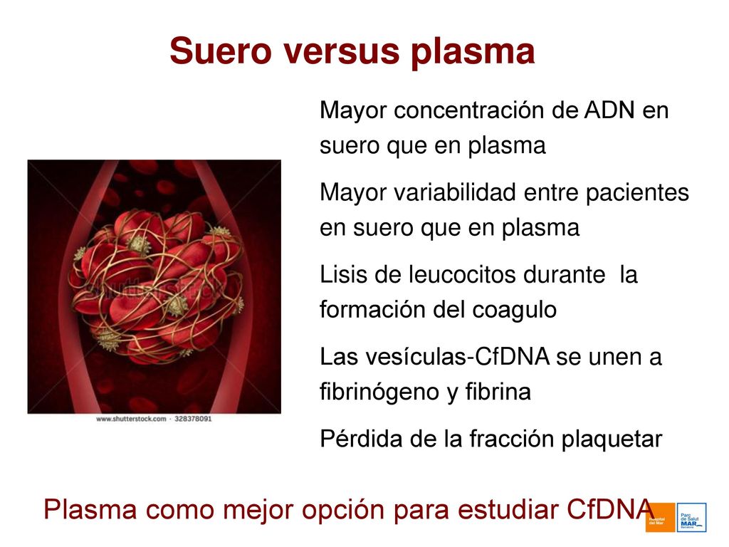 Suero o plasma Tipo de tubos. Tiempo hasta el procesamiento. Alicuotado y almacenamiento. Extracción de ADN.