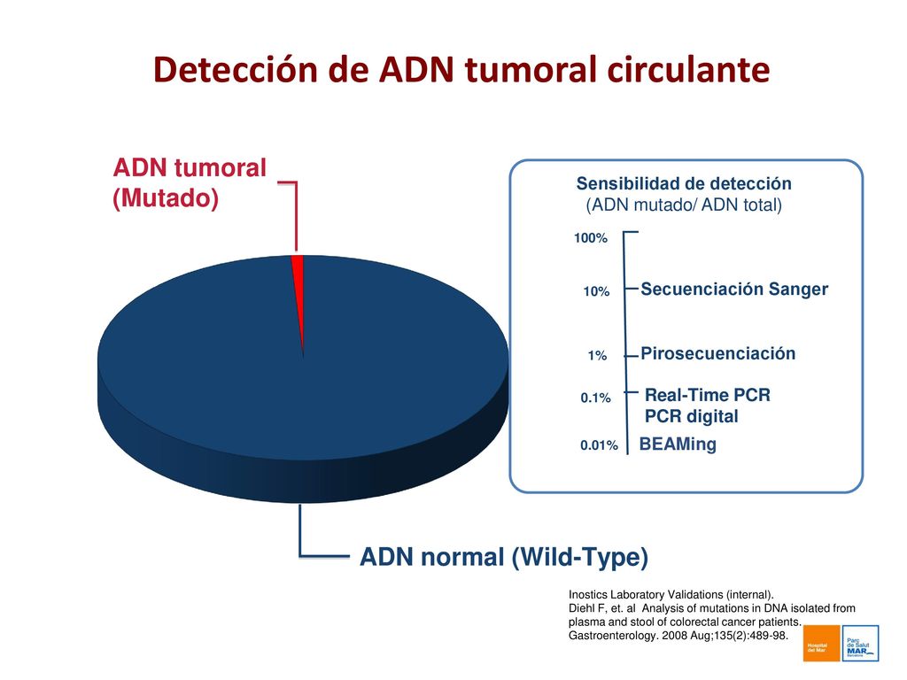 ADN Normal (Wild-Type)
