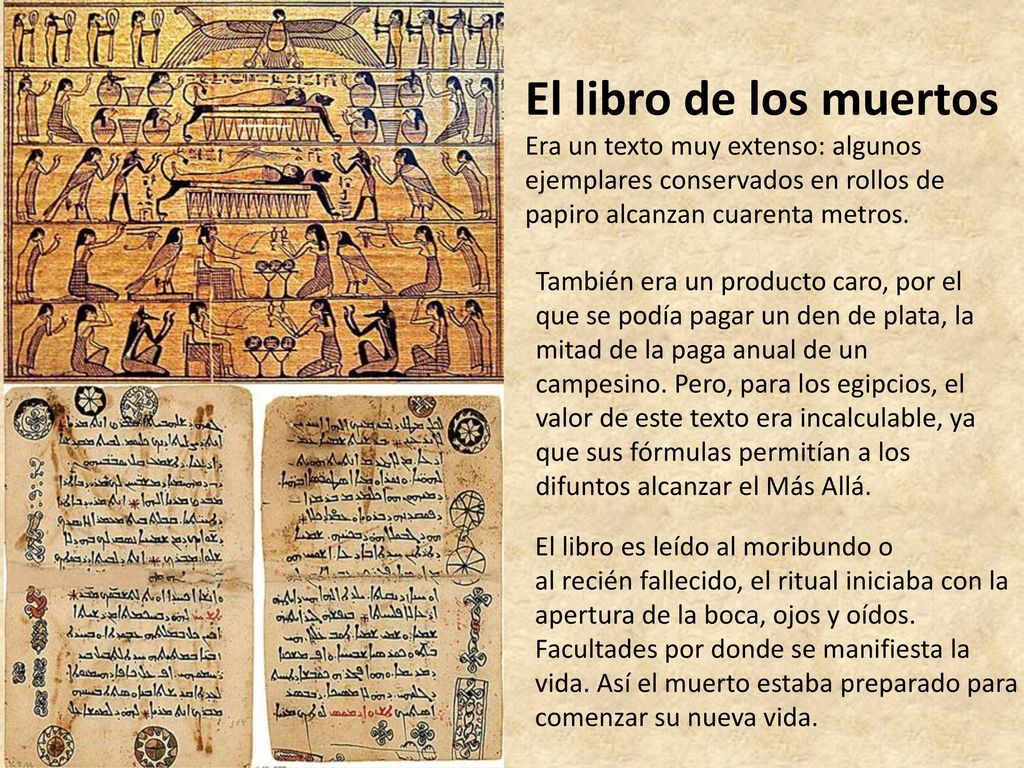 El libro de los muertos Era un texto muy extenso: algunos ejemplares conservados en rollos de papiro alcanzan cuarenta metros.