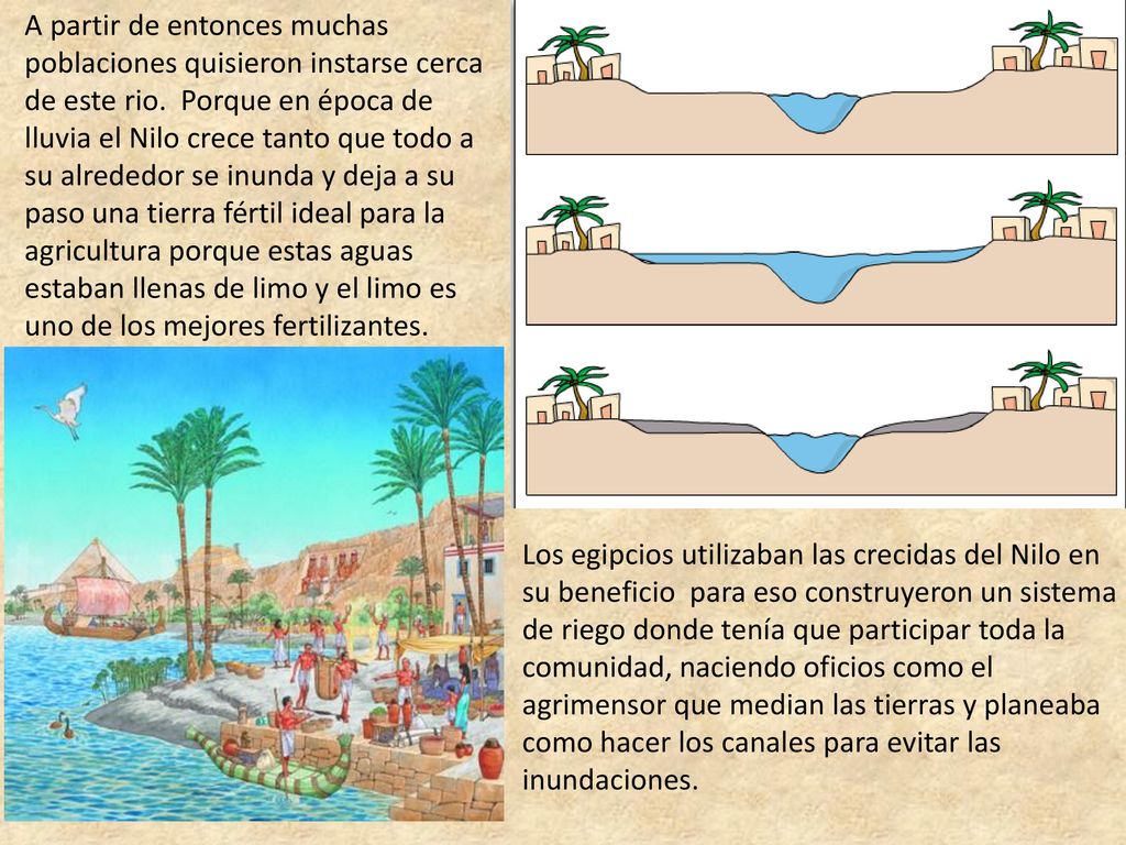 A partir de entonces muchas poblaciones quisieron instarse cerca de este rio. Porque en época de lluvia el Nilo crece tanto que todo a su alrededor se inunda y deja a su paso una tierra fértil ideal para la agricultura porque estas aguas estaban llenas de limo y el limo es uno de los mejores fertilizantes.