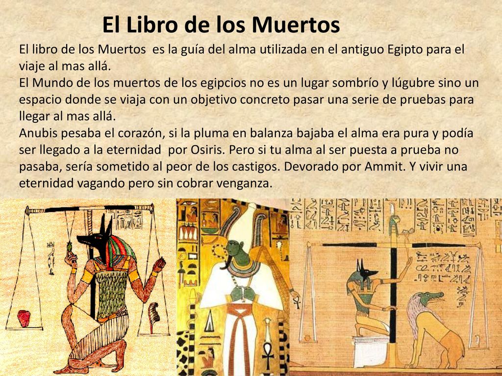 El Libro de los Muertos El libro de los Muertos es la guía del alma utilizada en el antiguo Egipto para el viaje al mas allá.