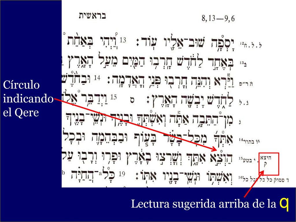 Círculo indicando el Qere Lectura sugerida arriba de la q -