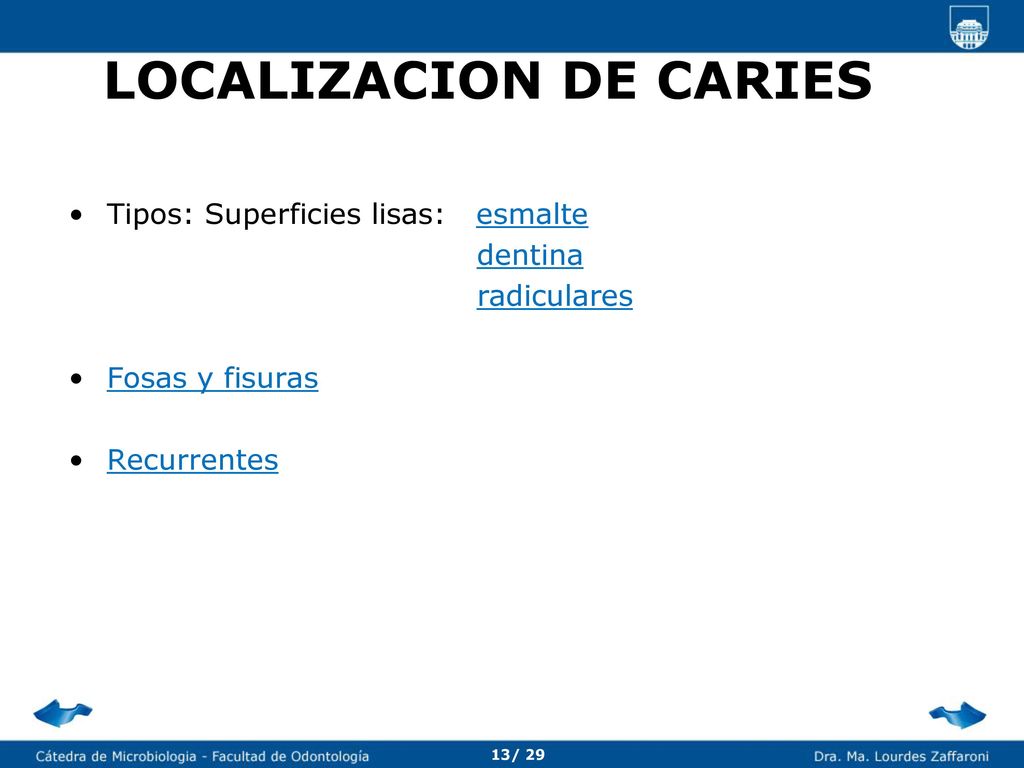 Nutrición La sacarosa tiene un poder cariogénico demostrado experimentalmente: Dieta en animales de laboratorio y voluntarios.