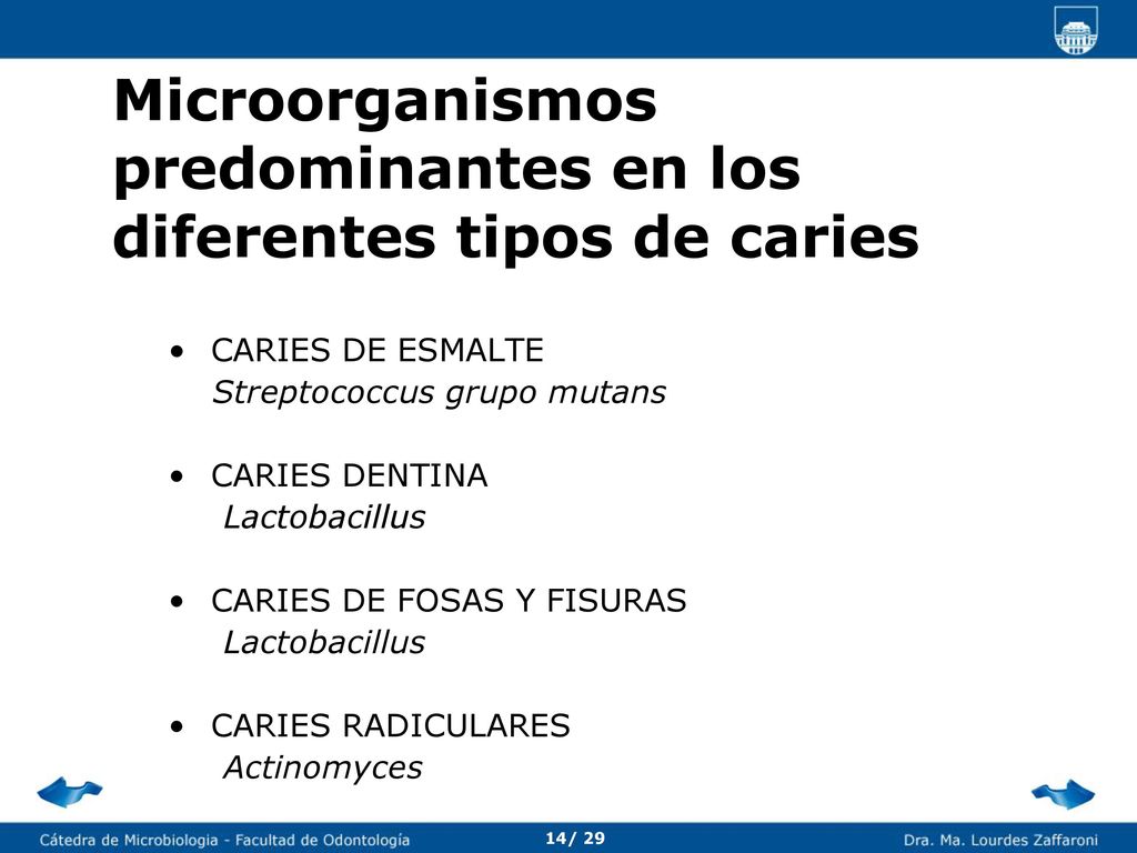 Factores que intervienen en variaciones de pH de la placa bacteriana