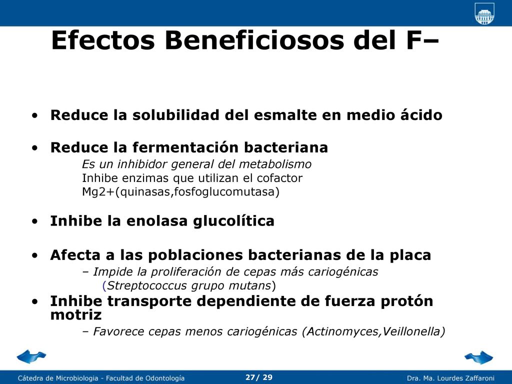 Fosas y fisuras Son falta de coalescencia de los lóbulos de desarrollo
