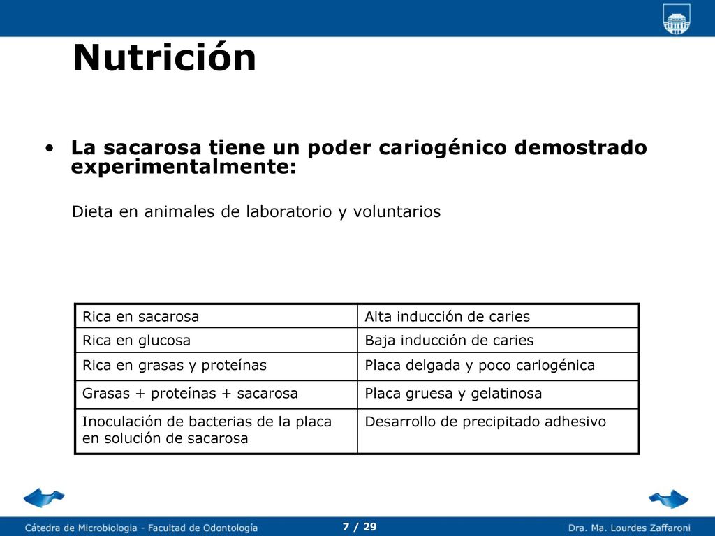 DIETA -SUBSTRATO Tipo Frecuencia Consistencia c3 / 29