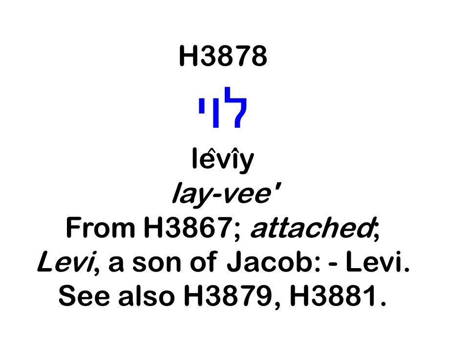 H3878 לוי. lêvîy. lay-vee From H3867; attached; Levi, a son of Jacob: - Levi.