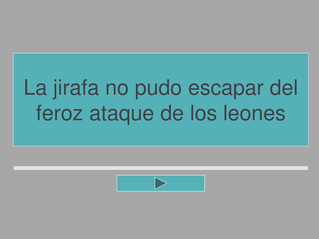 La jirafa no pudo escapar del feroz ataque de los leones