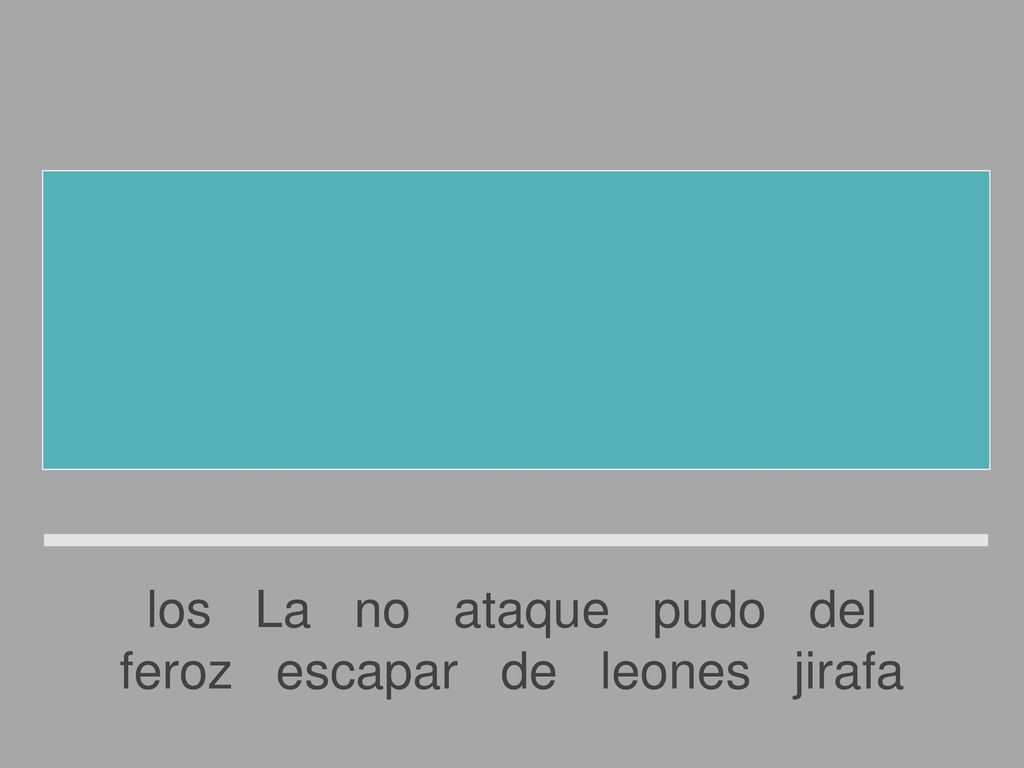 La jirafa no pudo escapar del feroz ataque de los leones