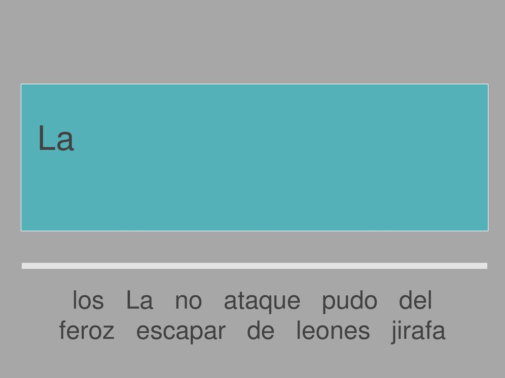 La jirafa no pudo escapar del feroz ataque de los leones