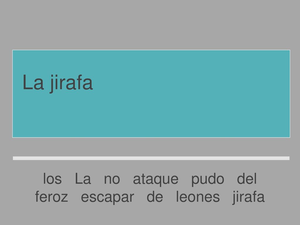 La jirafa no pudo escapar del feroz ataque de los leones