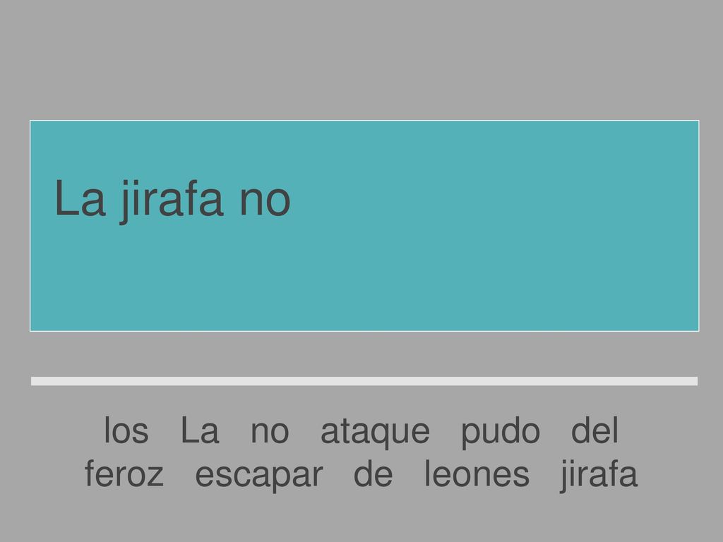 La jirafa no pudo escapar del feroz ataque de los leones