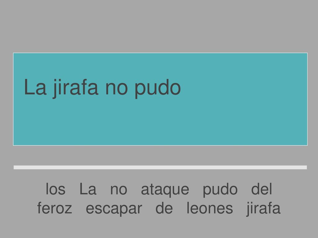 La jirafa no pudo escapar del feroz ataque de los leones