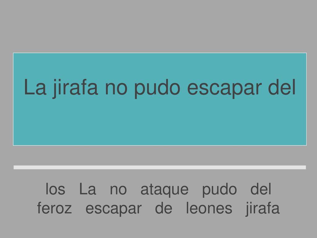 La jirafa no pudo escapar del feroz ataque de los leones