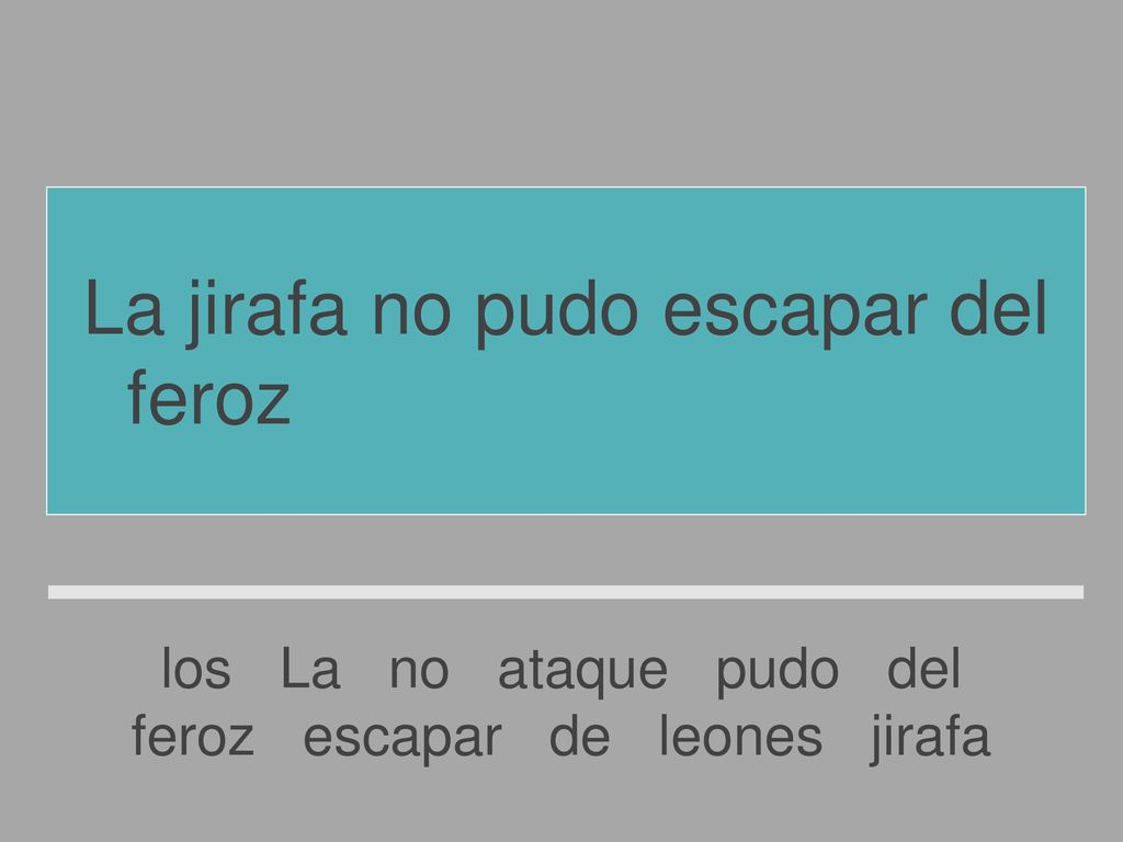 La jirafa no pudo escapar del feroz ataque de los leones