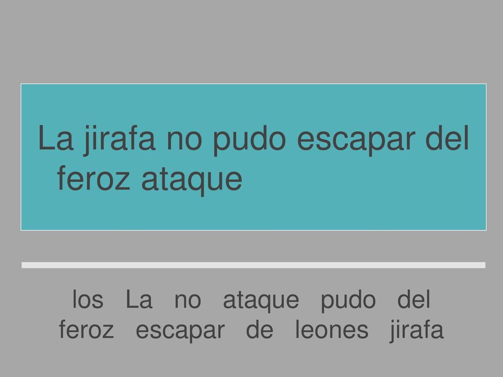La jirafa no pudo escapar del feroz ataque de los leones