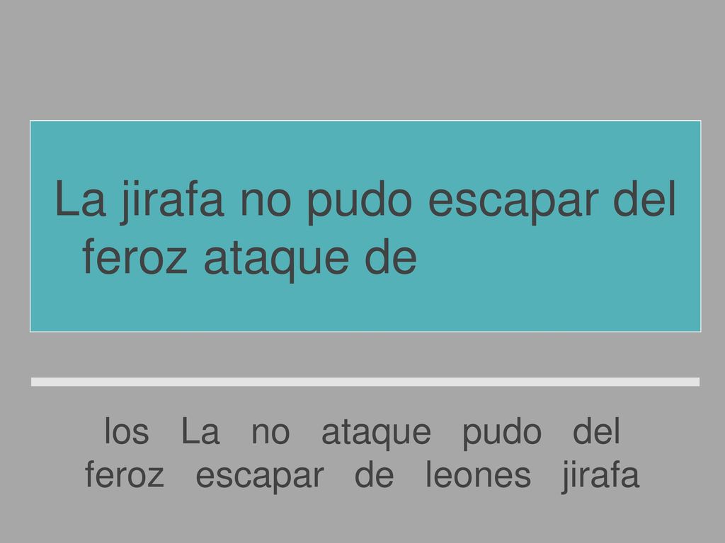 La jirafa no pudo escapar del feroz ataque de los leones