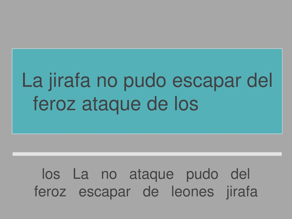 La jirafa no pudo escapar del feroz ataque de los leones