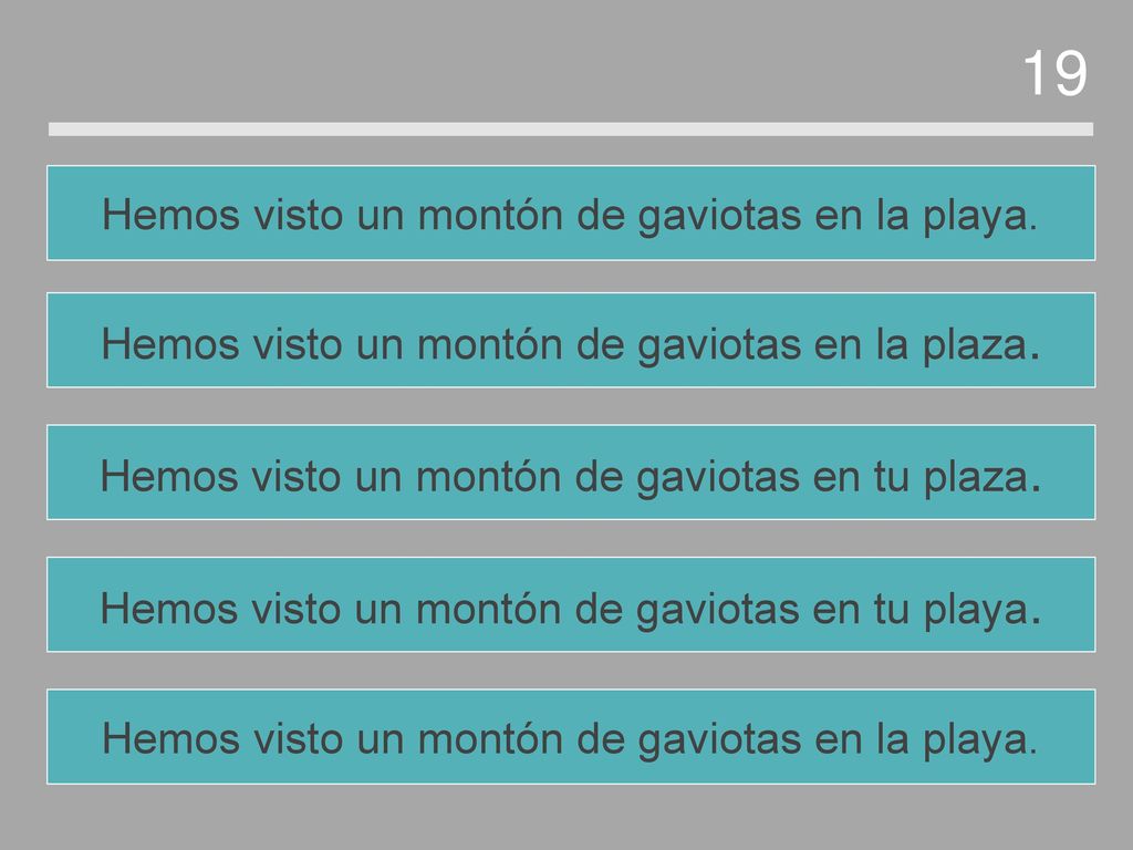 19 Hemos visto un montón de gaviotas en la playa.