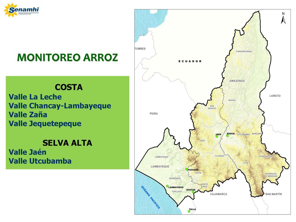 MONITOREO ARROZ COSTA Valle La Leche Valle Chancay-Lambayeque Valle Zaña Valle Jequetepeque SELVA ALTA Valle Jaén Valle Utcubamba.