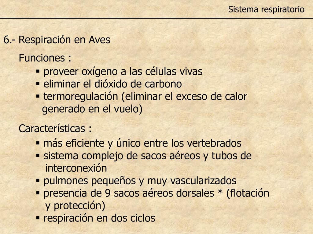 proveer oxígeno a las células vivas eliminar el dióxido de carbono