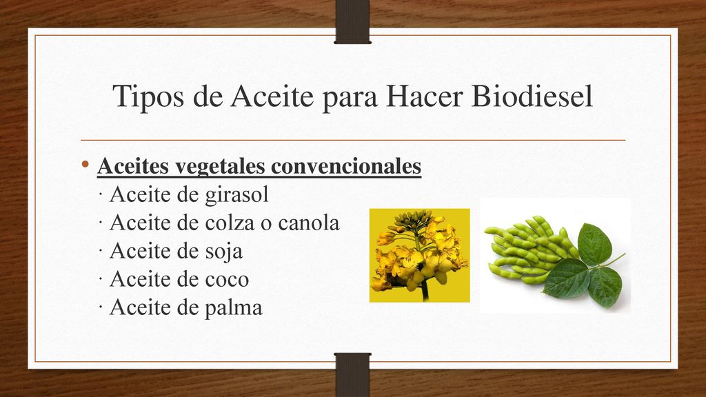 Tipos de Aceite para Hacer Biodiesel