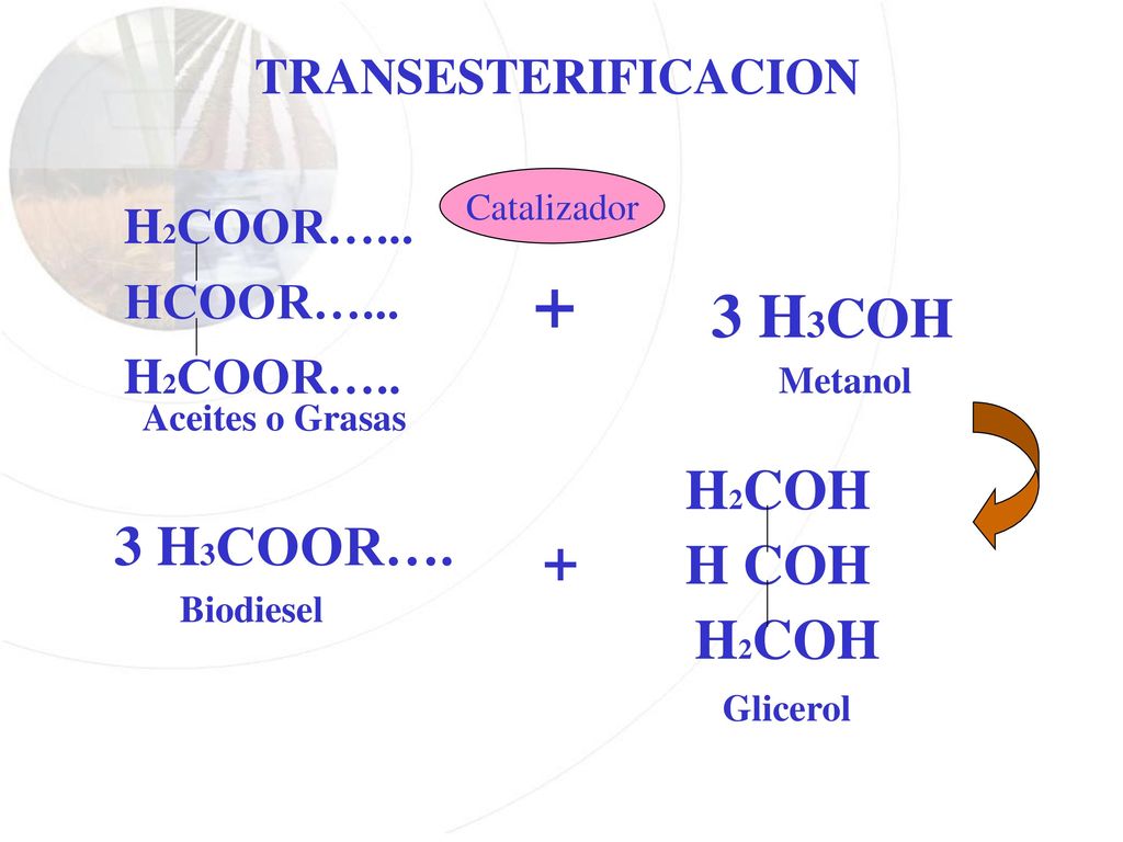 + 3 H3COH + H2COH 3 H3COOR…. H COH H2COH TRANSESTERIFICACION