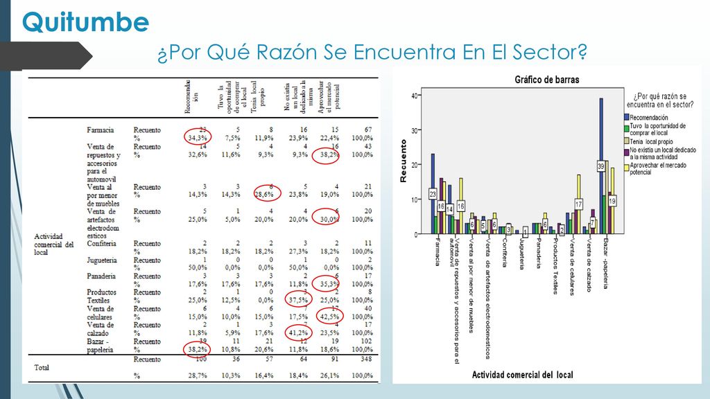 ¿Por Qué Razón Se Encuentra En El Sector
