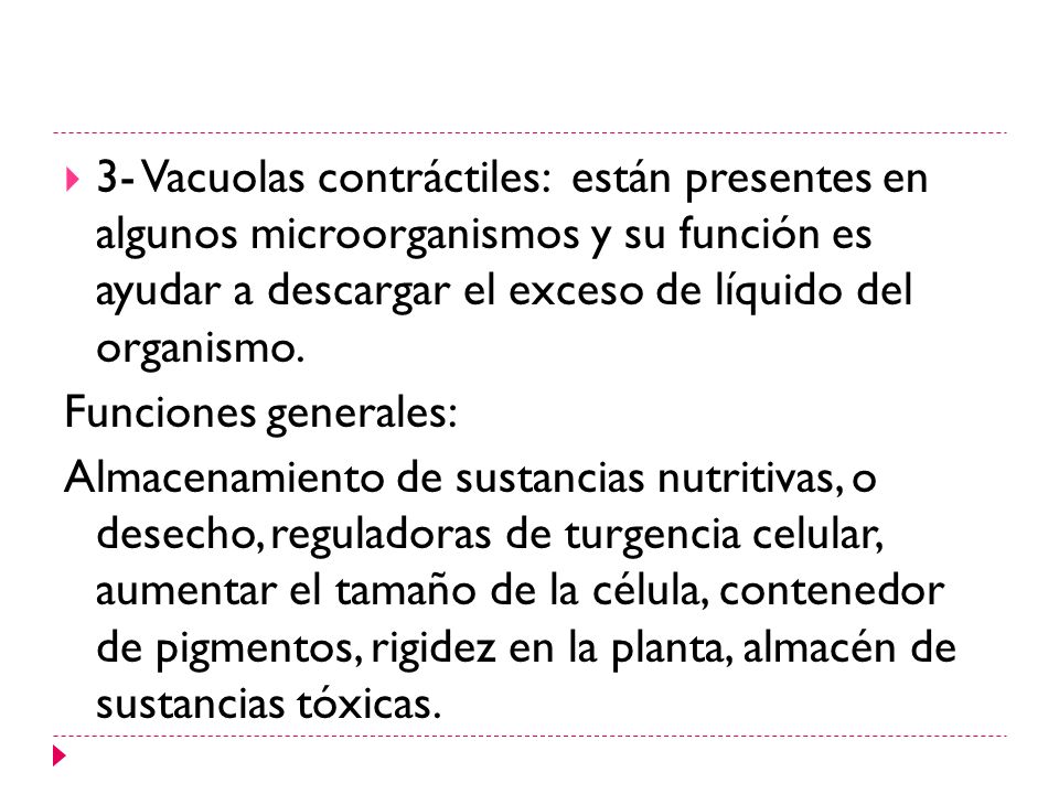 3- Vacuolas contráctiles: están presentes en algunos microorganismos y su función es ayudar a descargar el exceso de líquido del organismo.