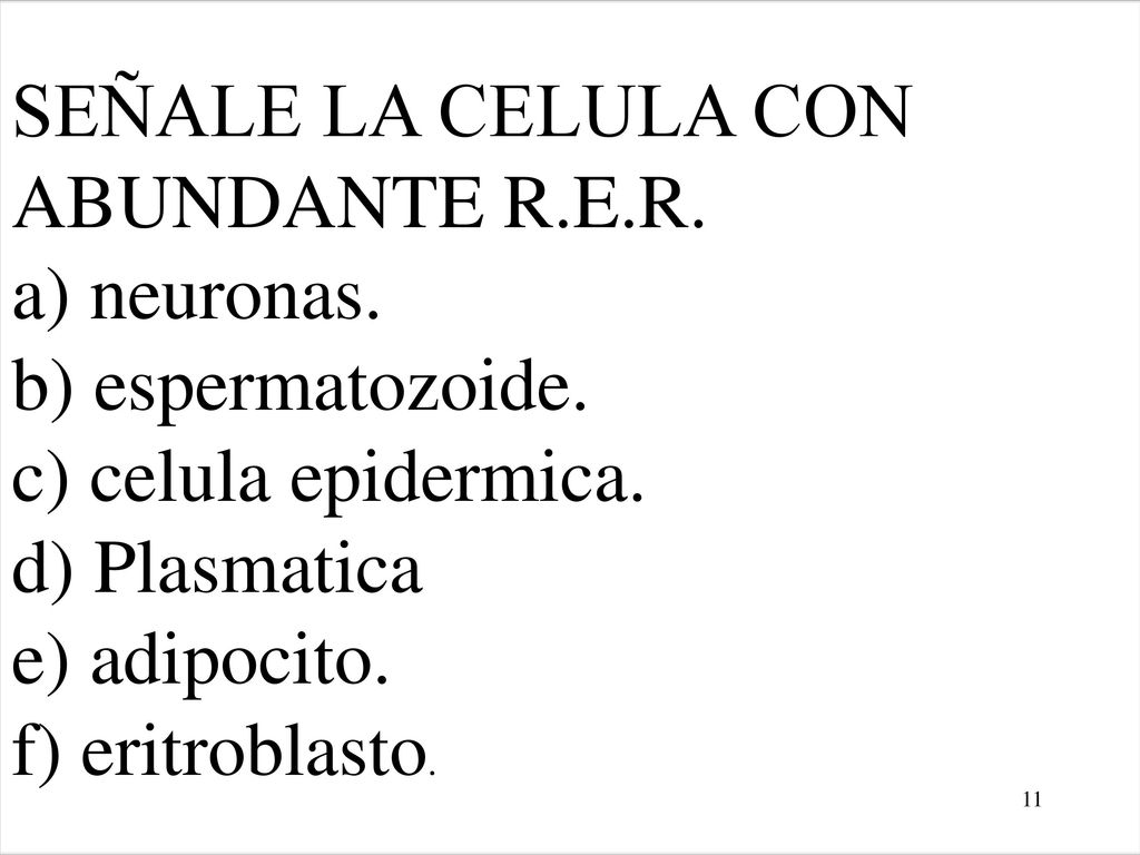 SEÑALE LA CELULA CON ABUNDANTE R. E. R. a) neuronas. b) espermatozoide