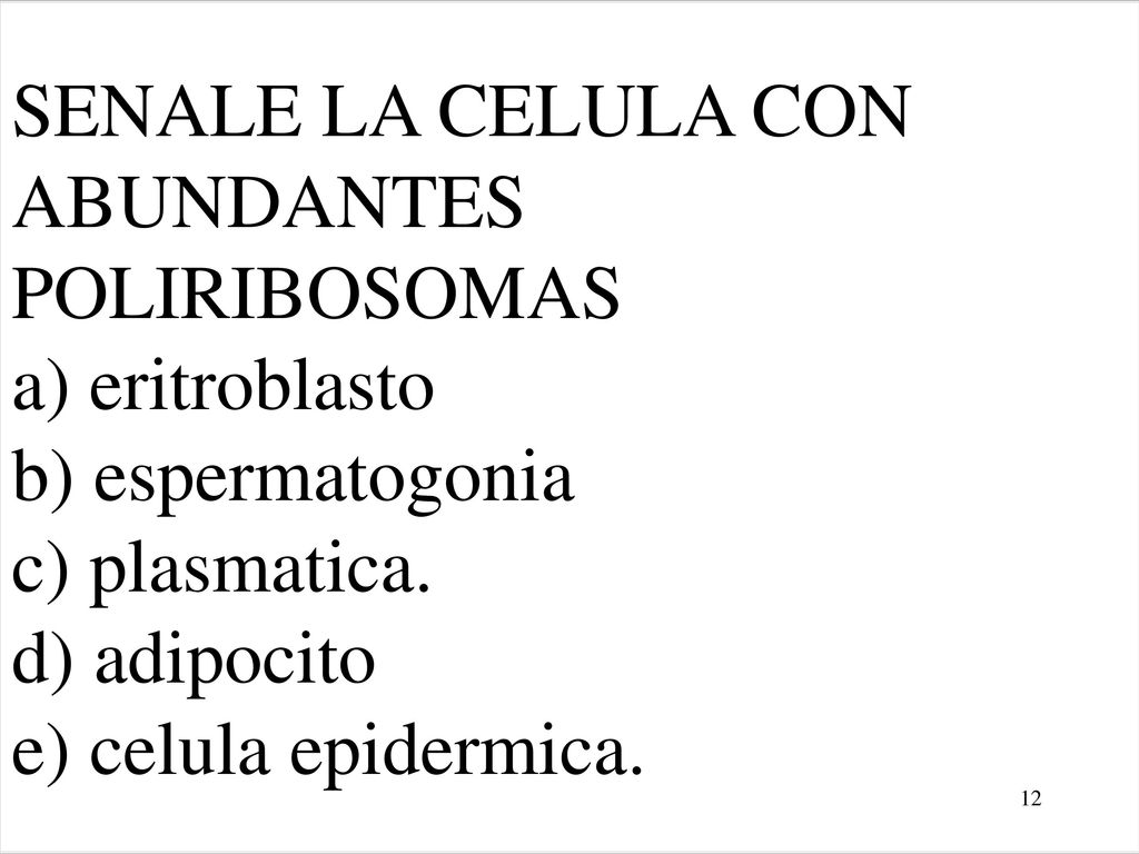 SENALE LA CELULA CON ABUNDANTES POLIRIBOSOMAS a) eritroblasto b) espermatogonia c) plasmatica.