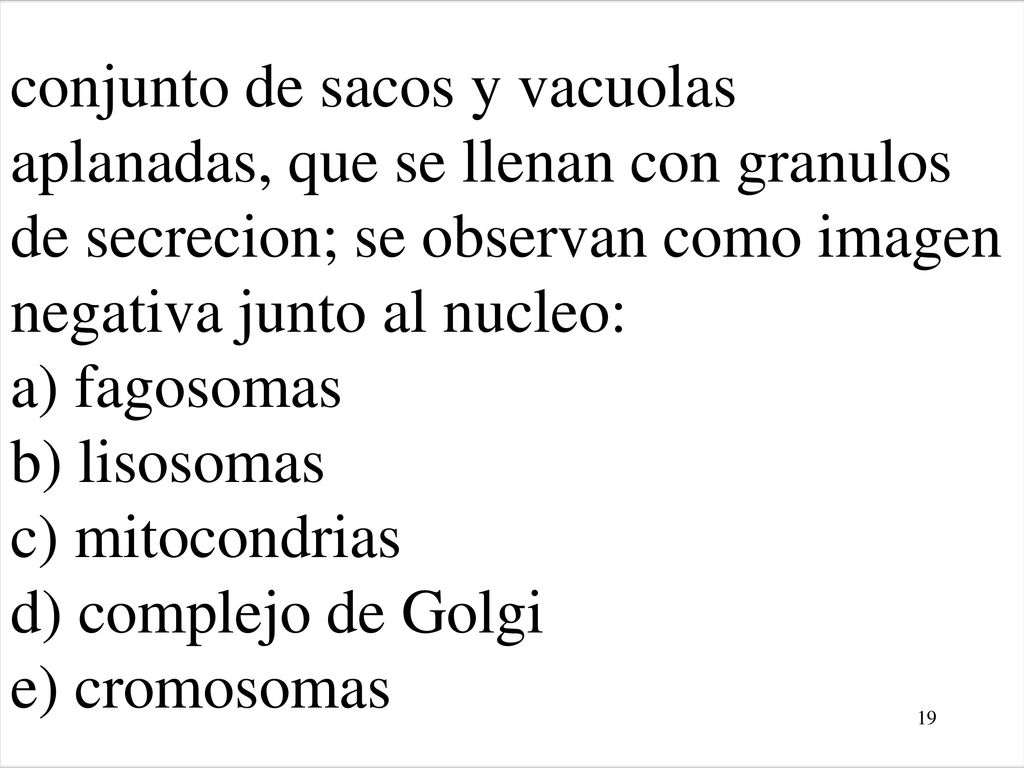conjunto de sacos y vacuolas aplanadas, que se llenan con granulos de secrecion; se observan como imagen negativa junto al nucleo: a) fagosomas b) lisosomas c) mitocondrias d) complejo de Golgi e) cromosomas