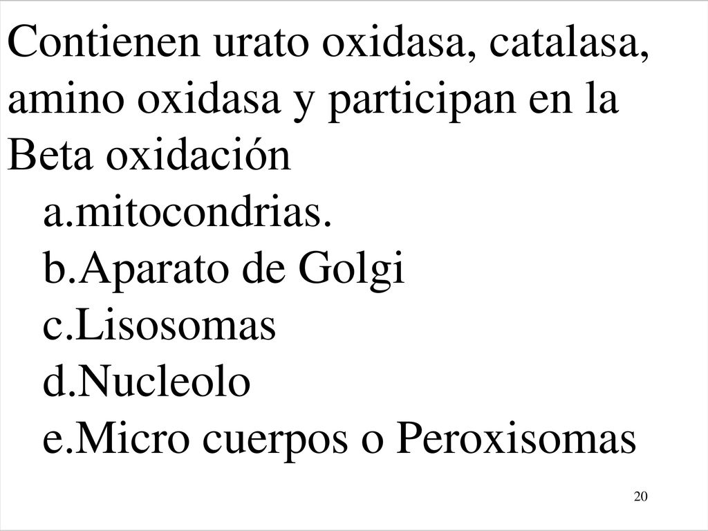 Contienen urato oxidasa, catalasa, amino oxidasa y participan en la Beta oxidación