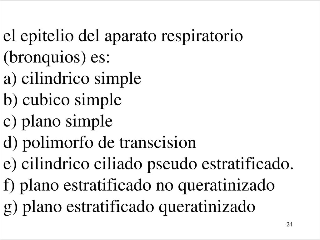 el epitelio del aparato respiratorio (bronquios) es: a) cilindrico simple b) cubico simple c) plano simple d) polimorfo de transcision e) cilindrico ciliado pseudo estratificado.
