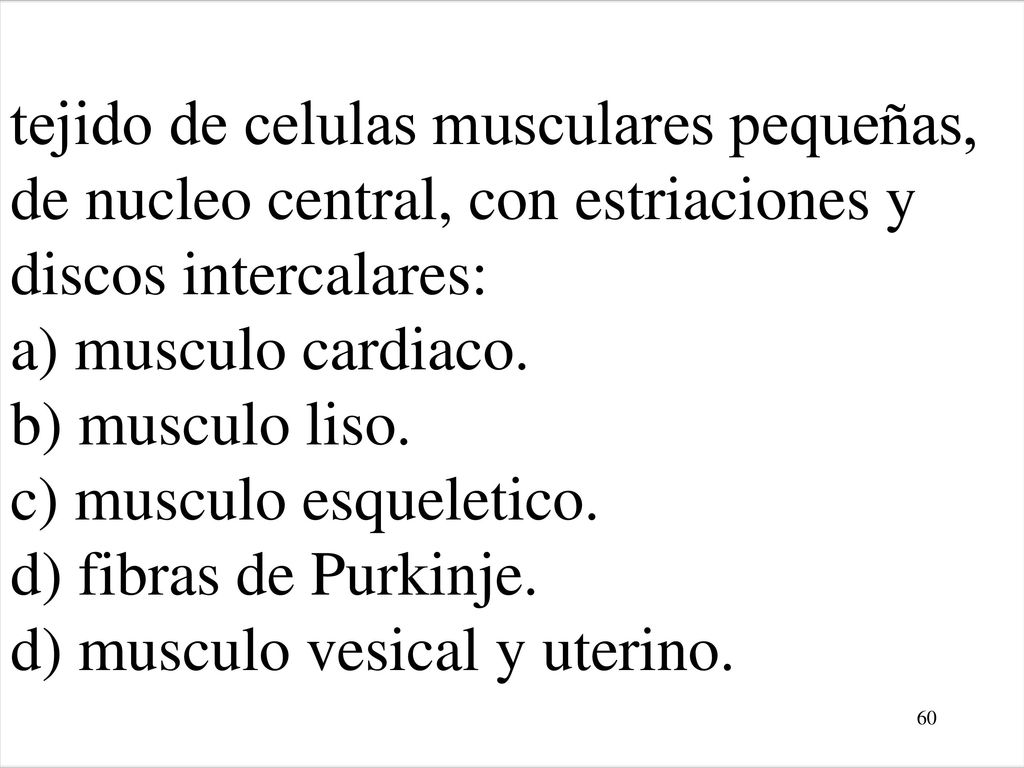 tejido de celulas musculares pequeñas, de nucleo central, con estriaciones y discos intercalares: a) musculo cardiaco.