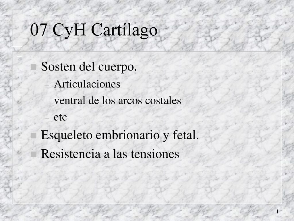 07 CyH Cartílago Sosten del cuerpo. Esqueleto embrionario y fetal.