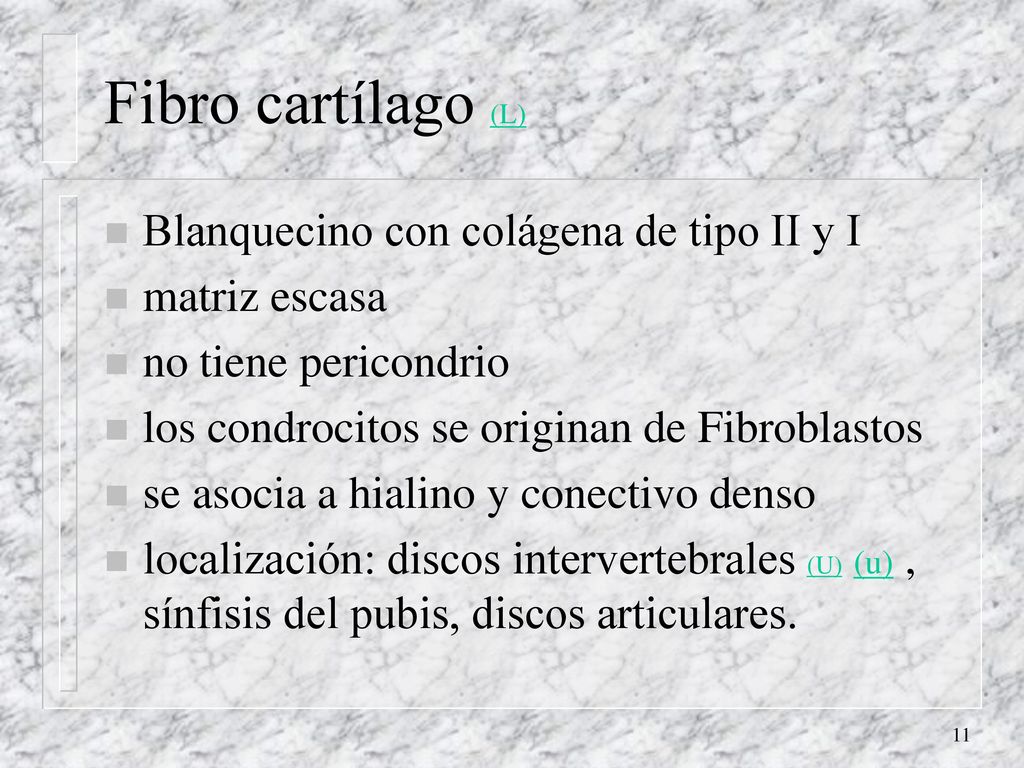 Fibro cartílago (L) Blanquecino con colágena de tipo II y I