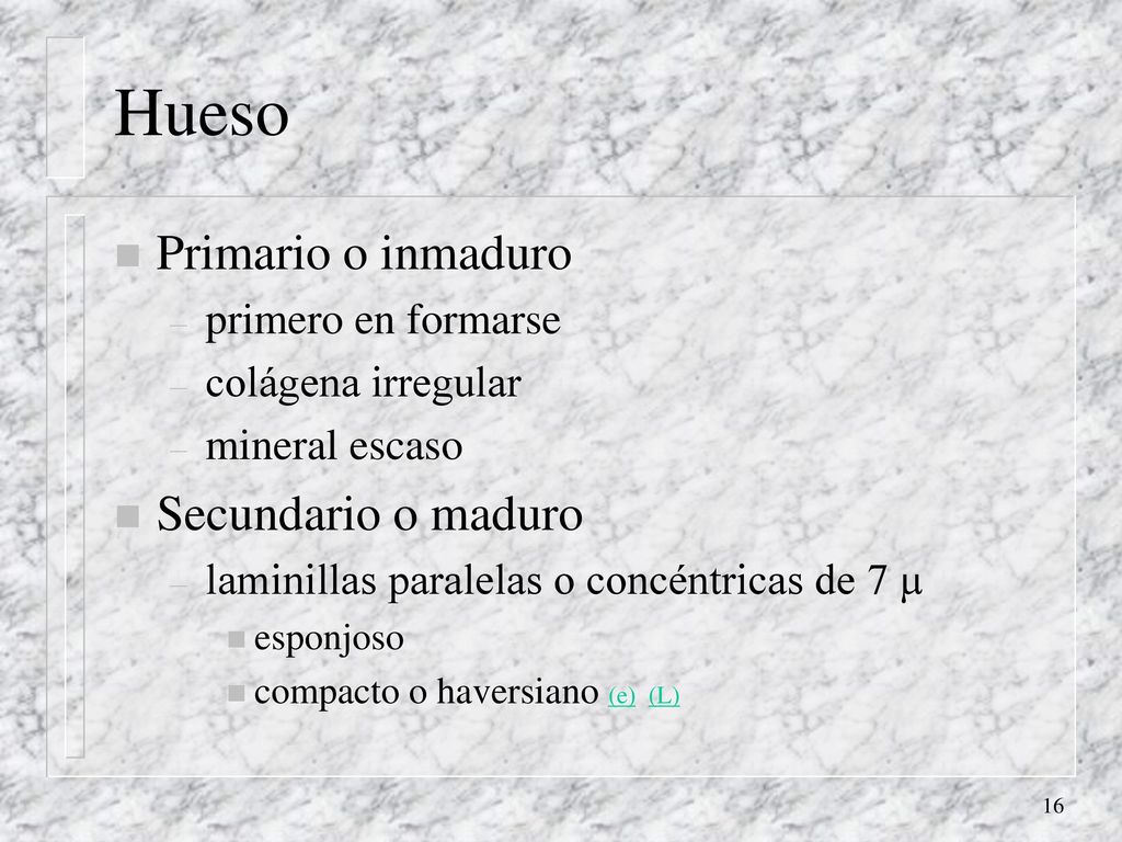 Hueso Primario o inmaduro Secundario o maduro primero en formarse