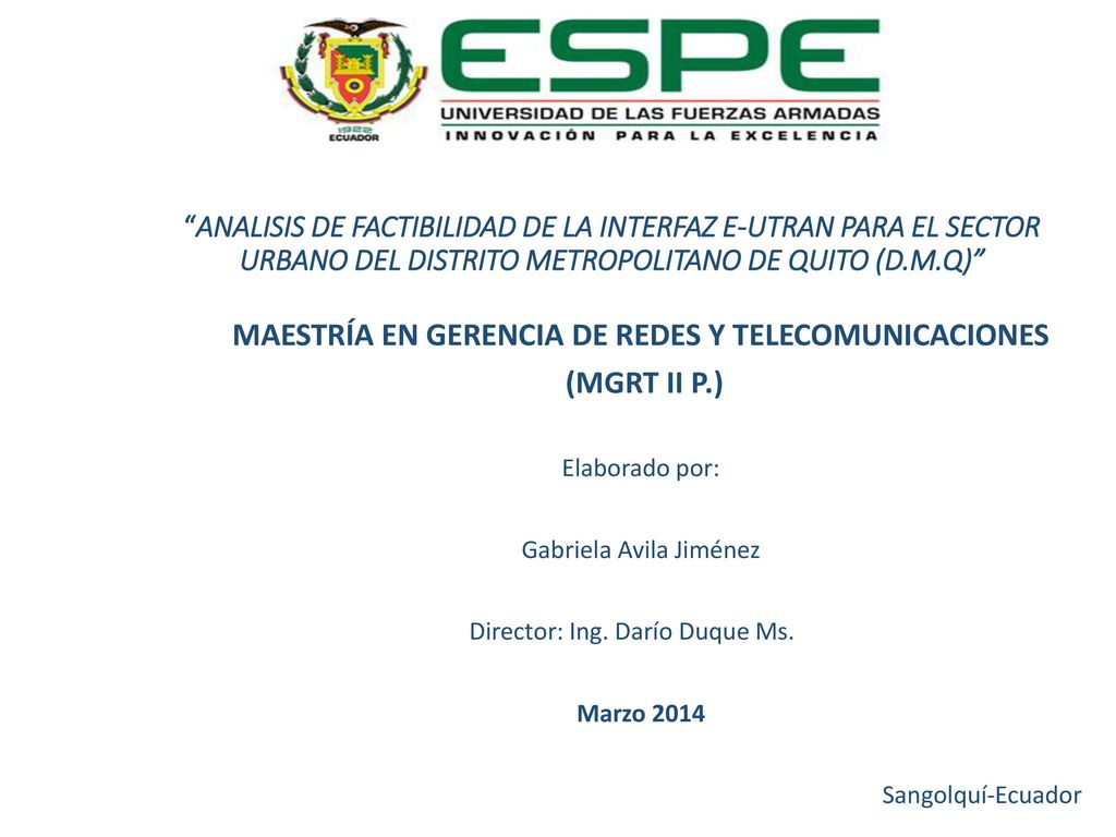 MAESTRÍA EN GERENCIA DE REDES Y TELECOMUNICACIONES (MGRT II P.)