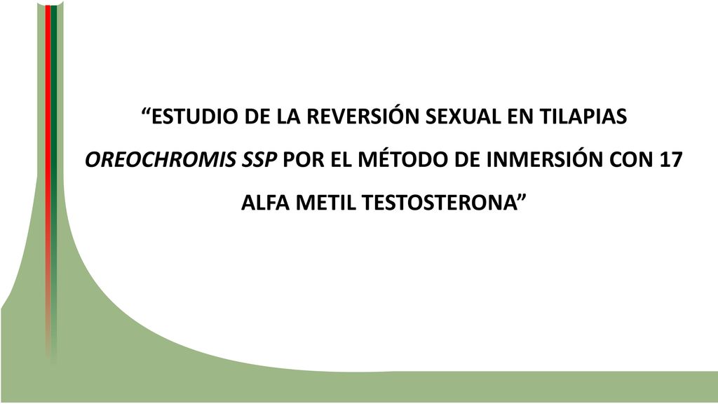 ESTUDIO DE LA REVERSIÓN SEXUAL EN TILAPIAS OREOCHROMIS SSP POR EL MÉTODO DE INMERSIÓN CON 17 ALFA METIL TESTOSTERONA