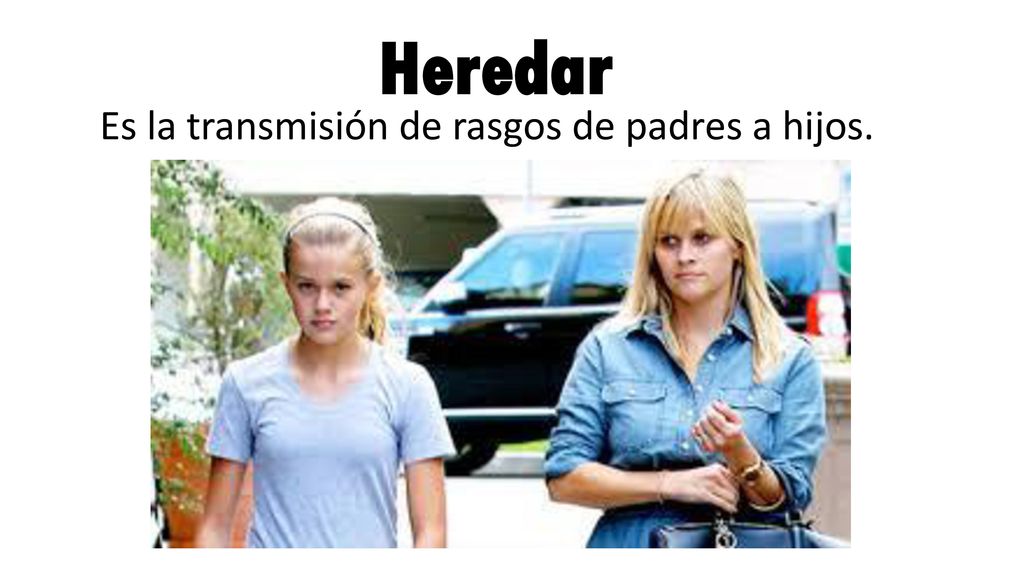 Heredar Es la transmisión de rasgos de padres a hijos.