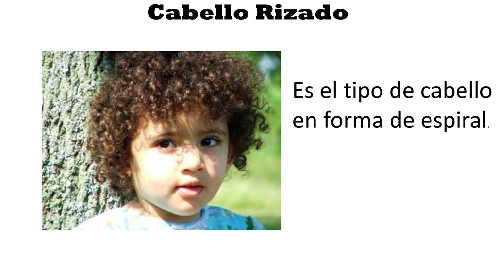 Es el tipo de cabello en forma de espiral.