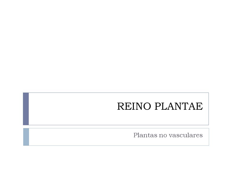 REINO PLANTAE Plantas no vasculares