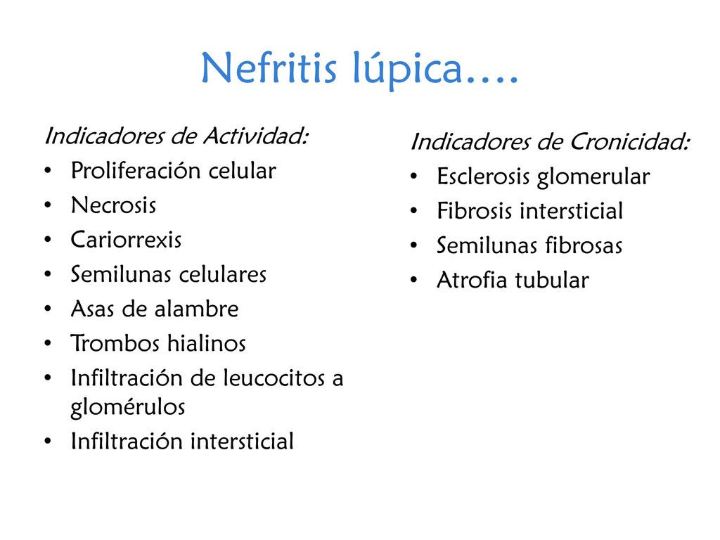 Nefritis lúpica…. Indicadores de Actividad: Indicadores de Cronicidad: